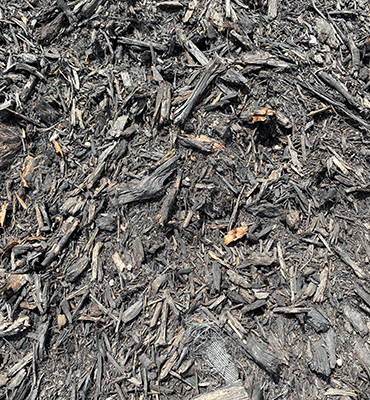 Black Mulch